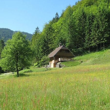 Apartmaji Brloznica Pod Veliko Planino Luče Kamer foto