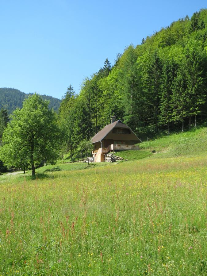 Apartmaji Brloznica Pod Veliko Planino Luče Kamer foto